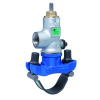 VAG TERRA M1.jpg