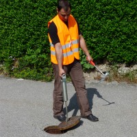 742500Anwendung.jpg